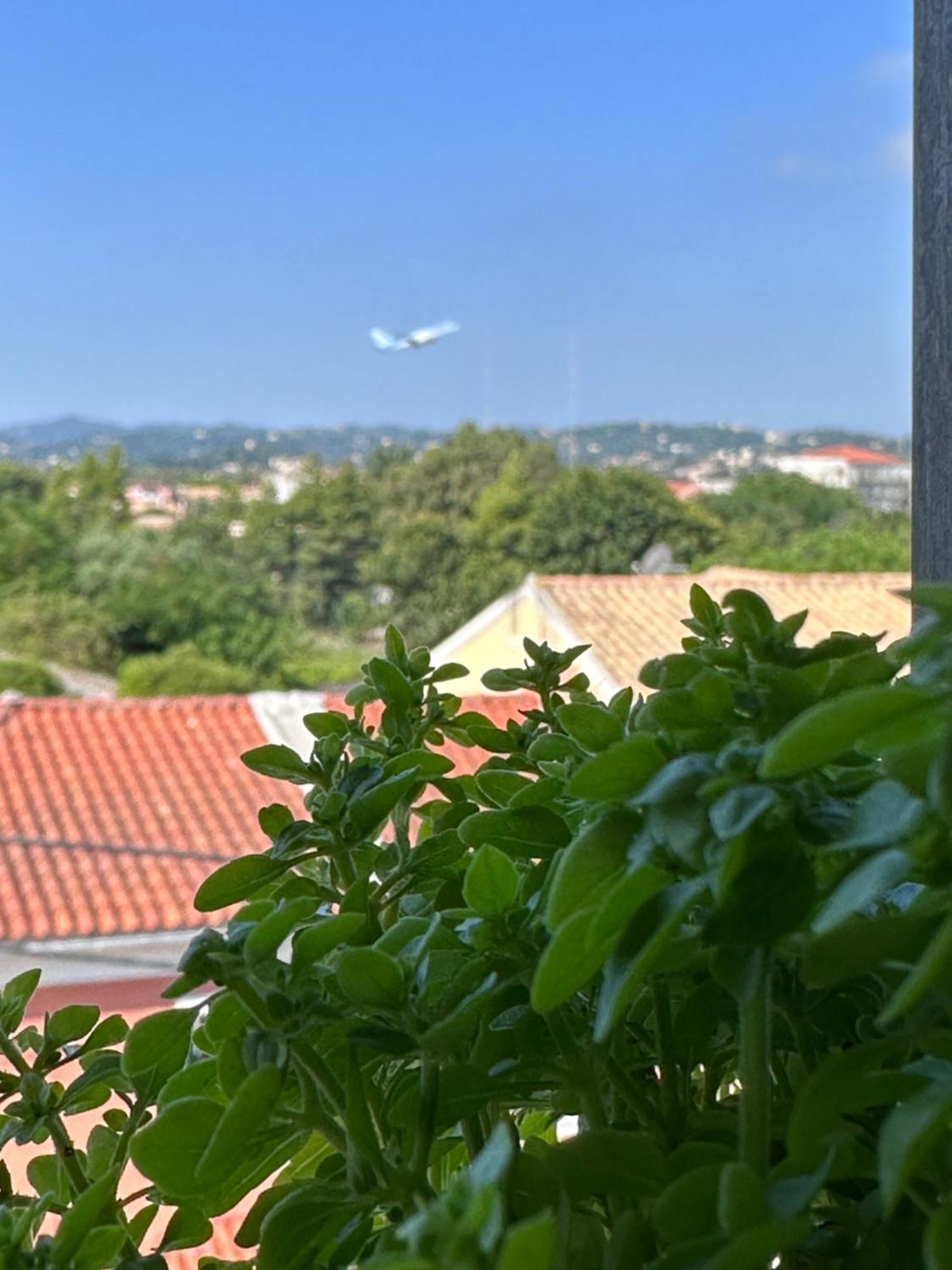 Olia Apartment Corfu  외부 사진